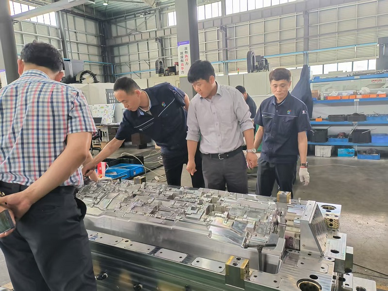 Striving for Excellence får ros: Kunden anerkender i høj grad IP-skimmelaccept